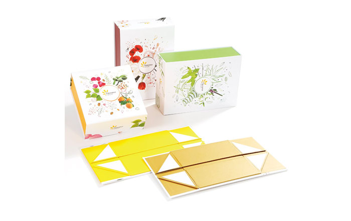 Collapsible Gift Boxes