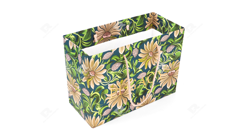Elevate Your Brand with Custom Eco-Friendly Shopping Bags by RX Packaging