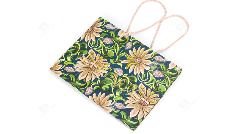 Elevate Your Brand with Custom Eco-Friendly Shopping Bags by RX Packaging
