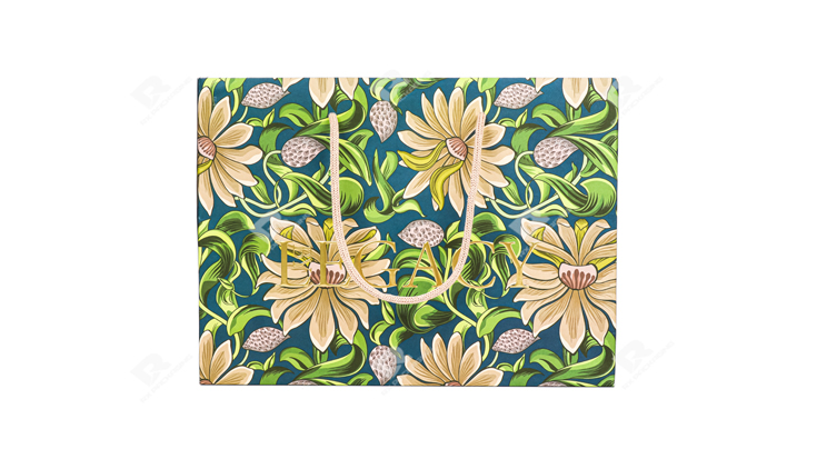 Elevate Your Brand with Custom Eco-Friendly Shopping Bags by RX Packaging