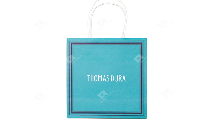 Custom Eco-Friendly Gift Bag Design for Modern Brands